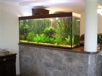 Akvárium 1120L, rozmery 220x60x85cm